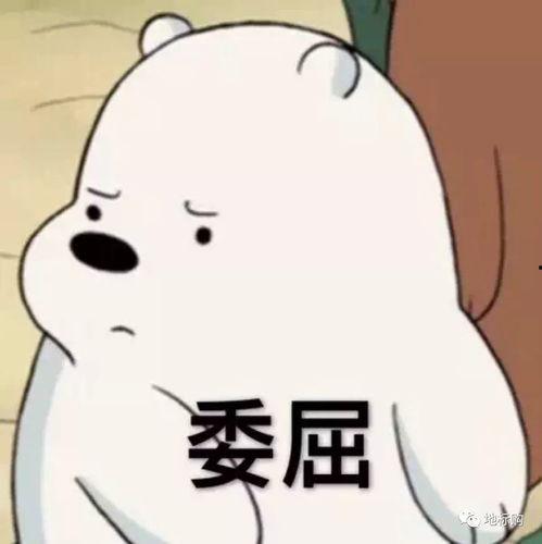 坐等吃瓜表情包图片搞笑 第3张 坐等吃瓜表情包图片搞笑 第3张